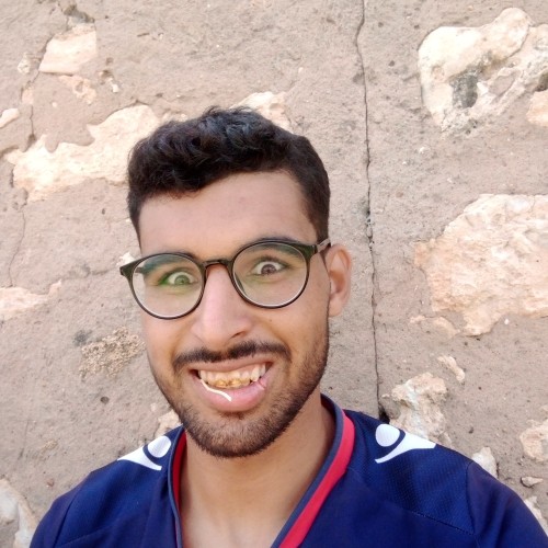 ELMOSTAPHA  L. profile photo