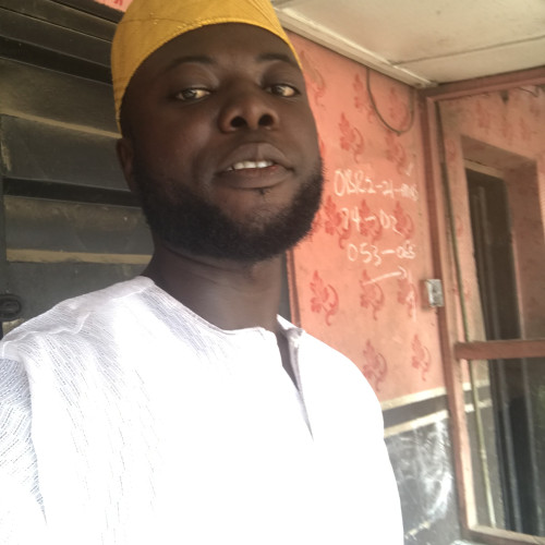 Olayiwola A. profile photo