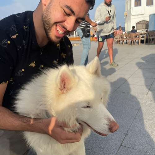 Youssef I. profile photo