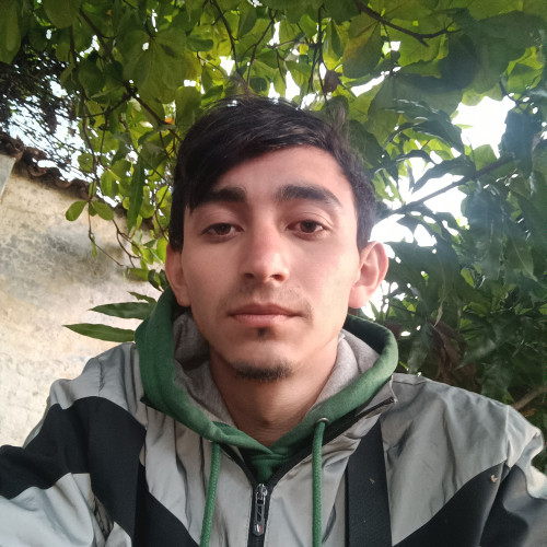 Francisco F. profile photo