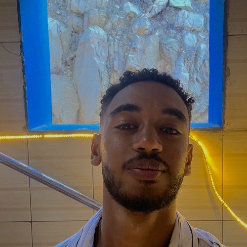 othmane r. profile photo