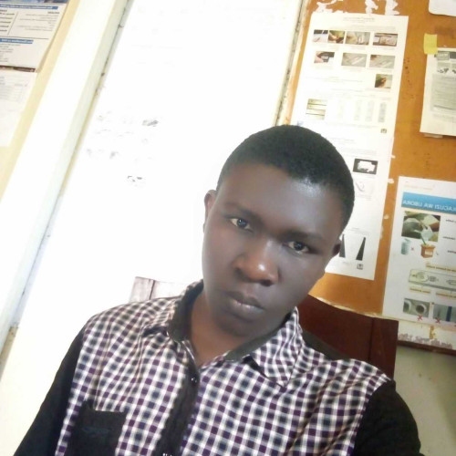 stephano n. profile photo