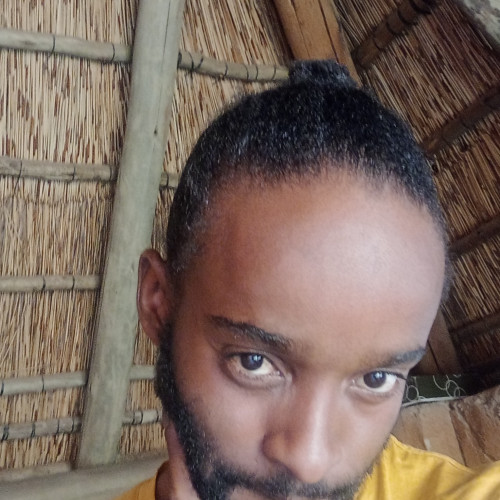 Austin M. profile photo