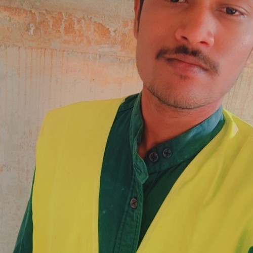 Hrishikesh K.