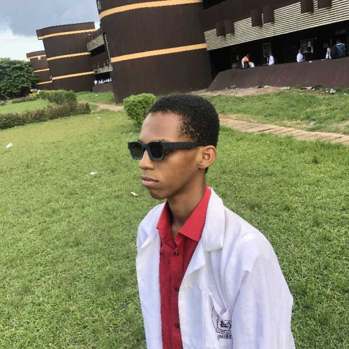 Chukwumnumuso E. profile photo