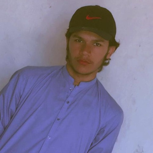 Ali K. profile photo