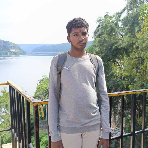 tejaswi n. profile photo