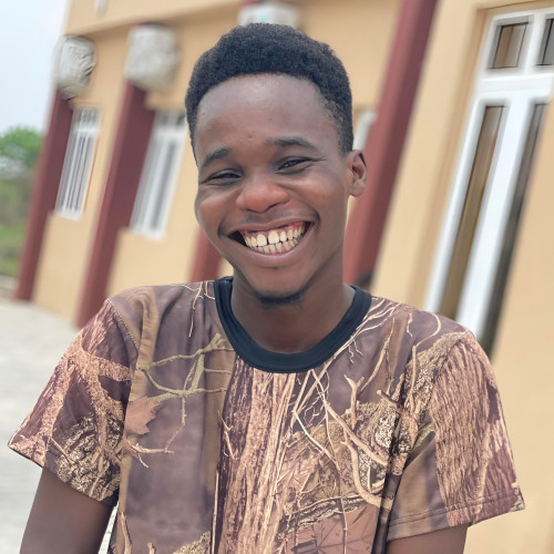 Demilade  O. profile photo