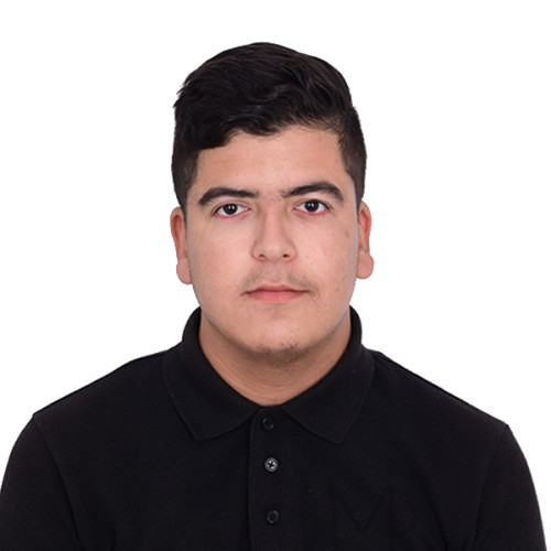 Mohsin N.