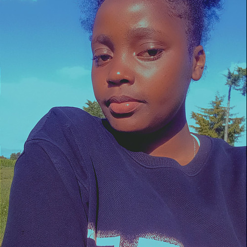 Brenda N. profile photo
