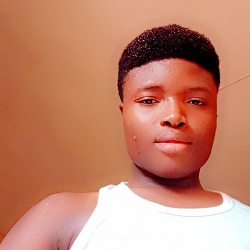 David  M. profile photo