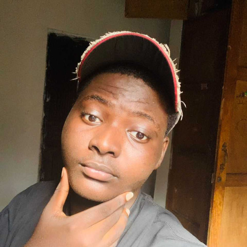 Tolu E. profile photo