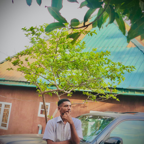 Patrick A. profile photo