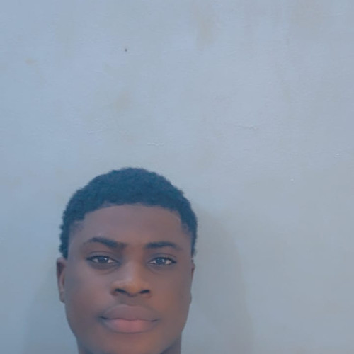 Emmanuel  S. profile photo