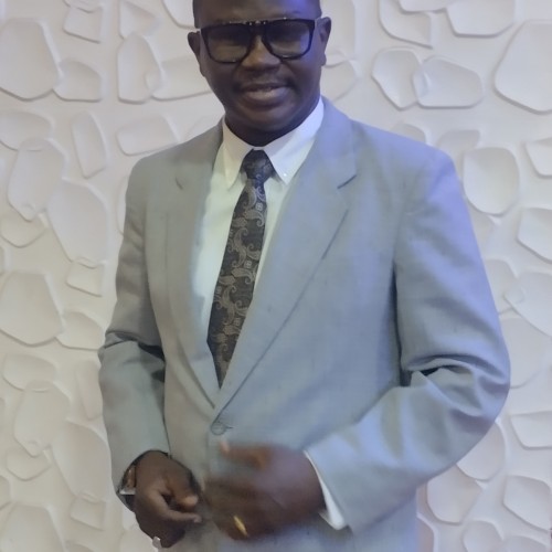 Olayiwola O. profile photo