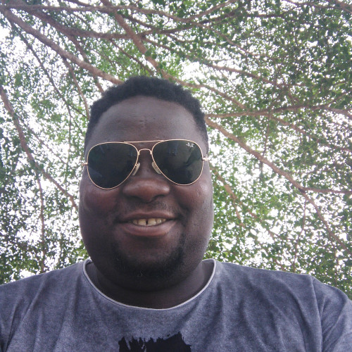 olawale W. profile photo