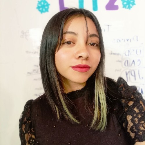 lizvet c.