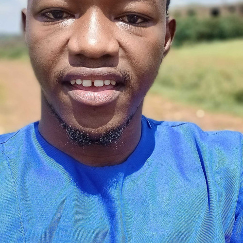 Stephen N. profile photo