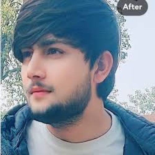 Ali R. profile photo
