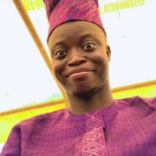 Oluwadamilare S. profile photo