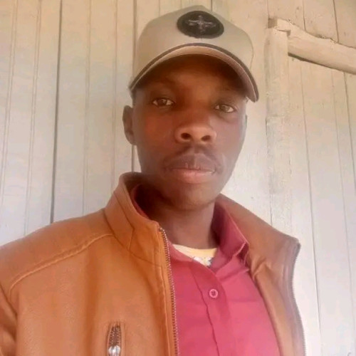 NICHOLAS M. profile photo