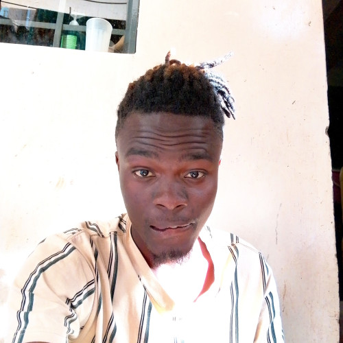 Harison M. profile photo