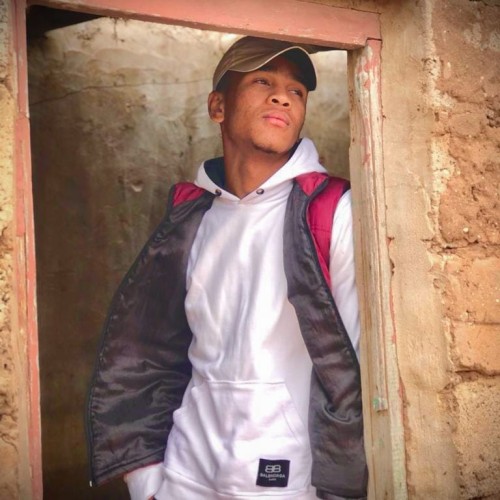 Salah dine  O. profile photo