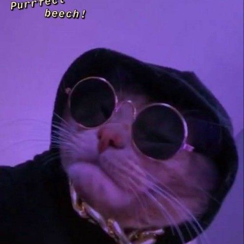 Amulya R. profile photo