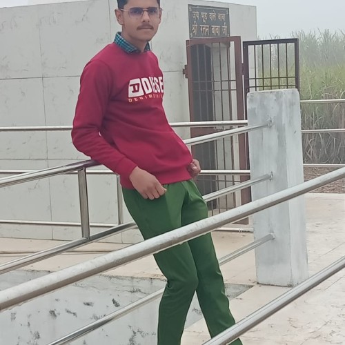 Satya S.