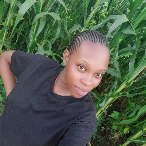 Sylvia N. profile photo