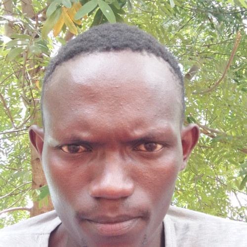 Joshua M. profile photo