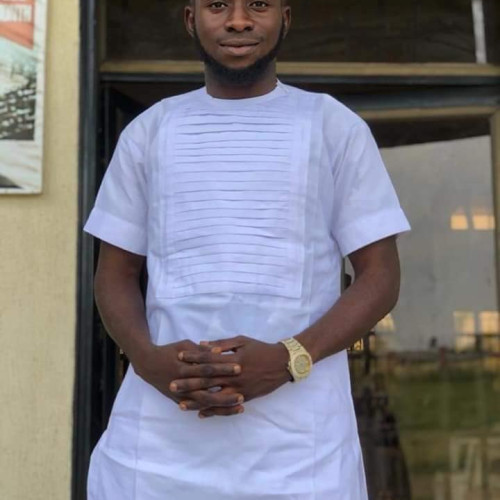 adeyemiking b. profile photo