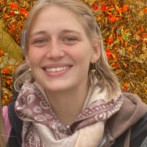 Iwi J. profile photo