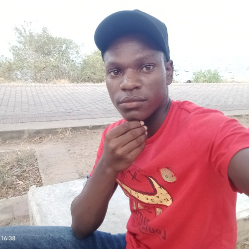 Dickson N. profile photo