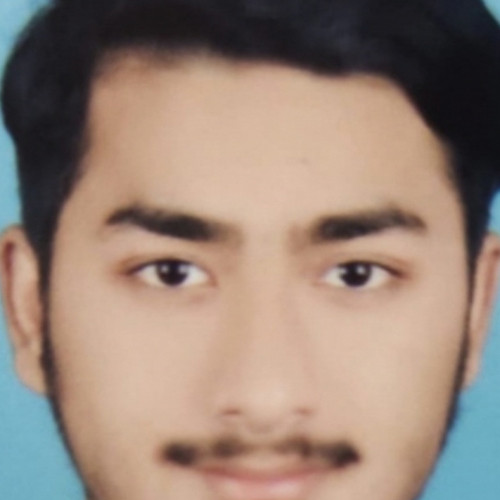 Hussain R. profile photo
