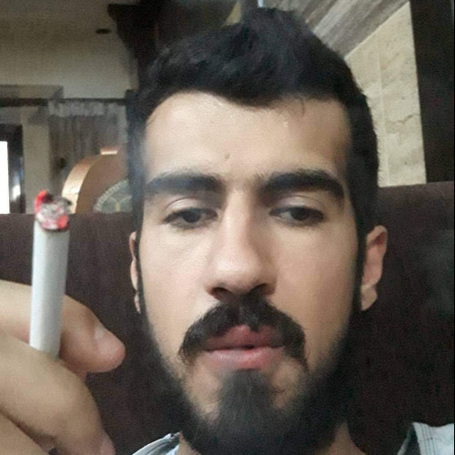 Ali D. profile photo