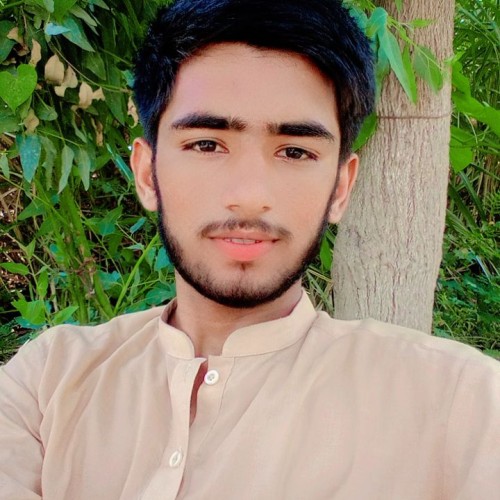Sajjad S.