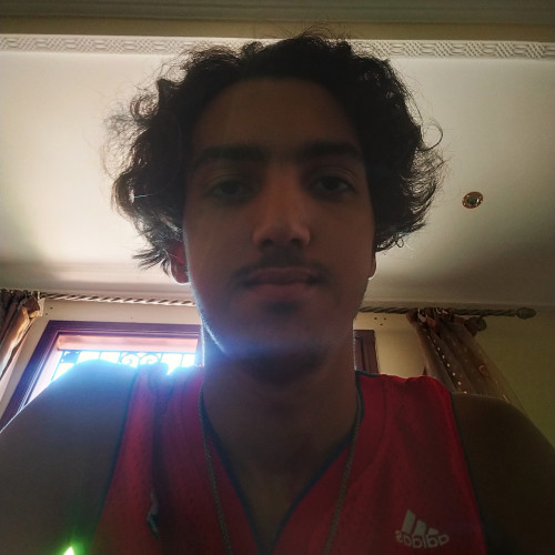 Ali A. profile photo