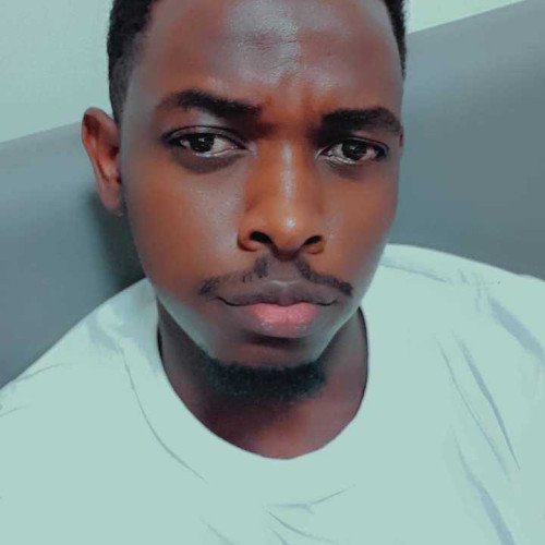 Peter K. profile photo