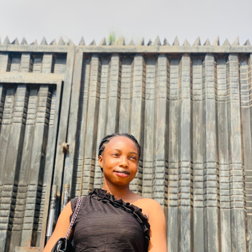 Jesutofunmi  E. profile photo