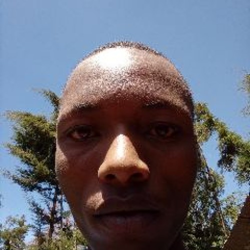 Amos K. profile photo