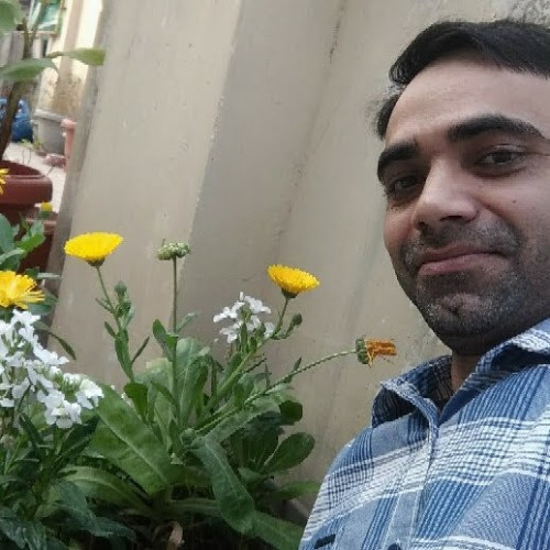 Harivansh D.