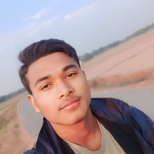 Ashnarayan C. profile photo
