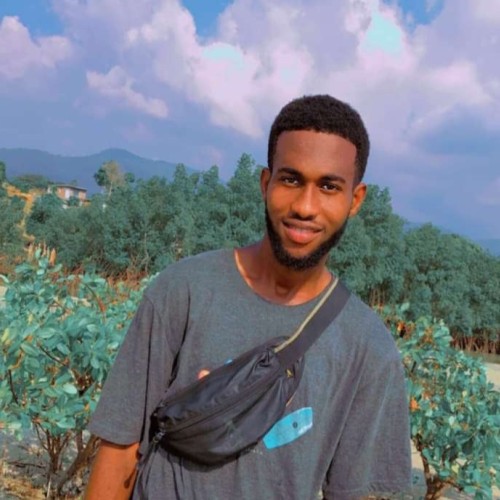 Ibrahim  J.