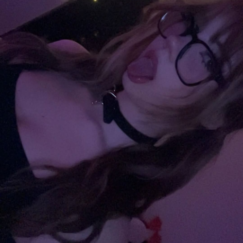 Daisy T. profile photo