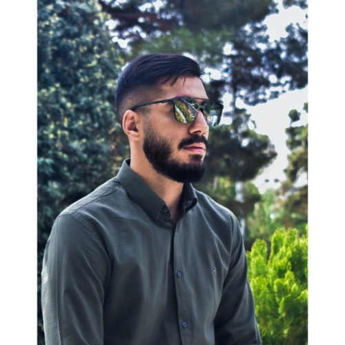 Mahdi S.