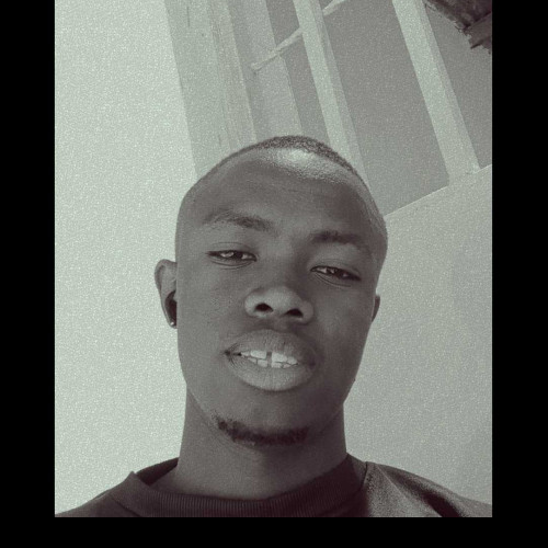 sweden n. profile photo