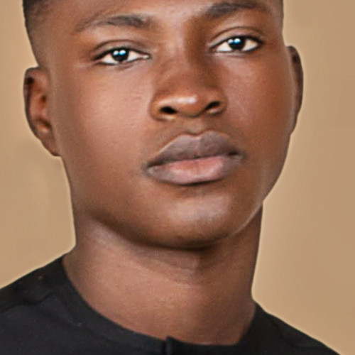 Olatunde O. profile photo