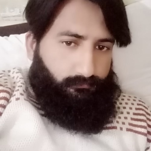 Husnain  M.