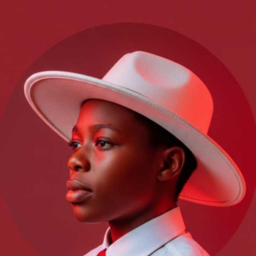 Virtuous N. profile photo
